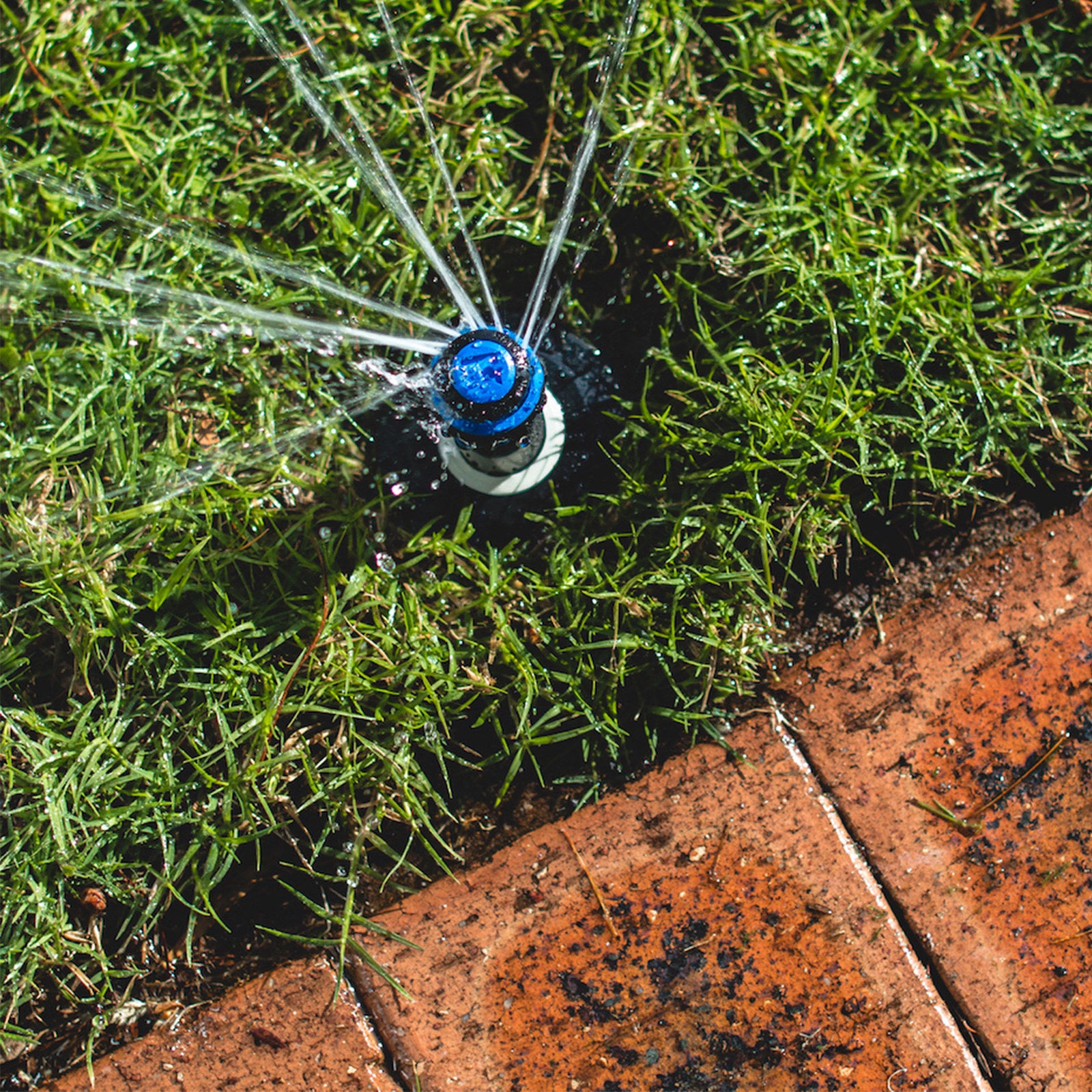K-Rain 100mm Flush Cap PRO-S Popup Sprinkler, Contractor-Grade Irrigation