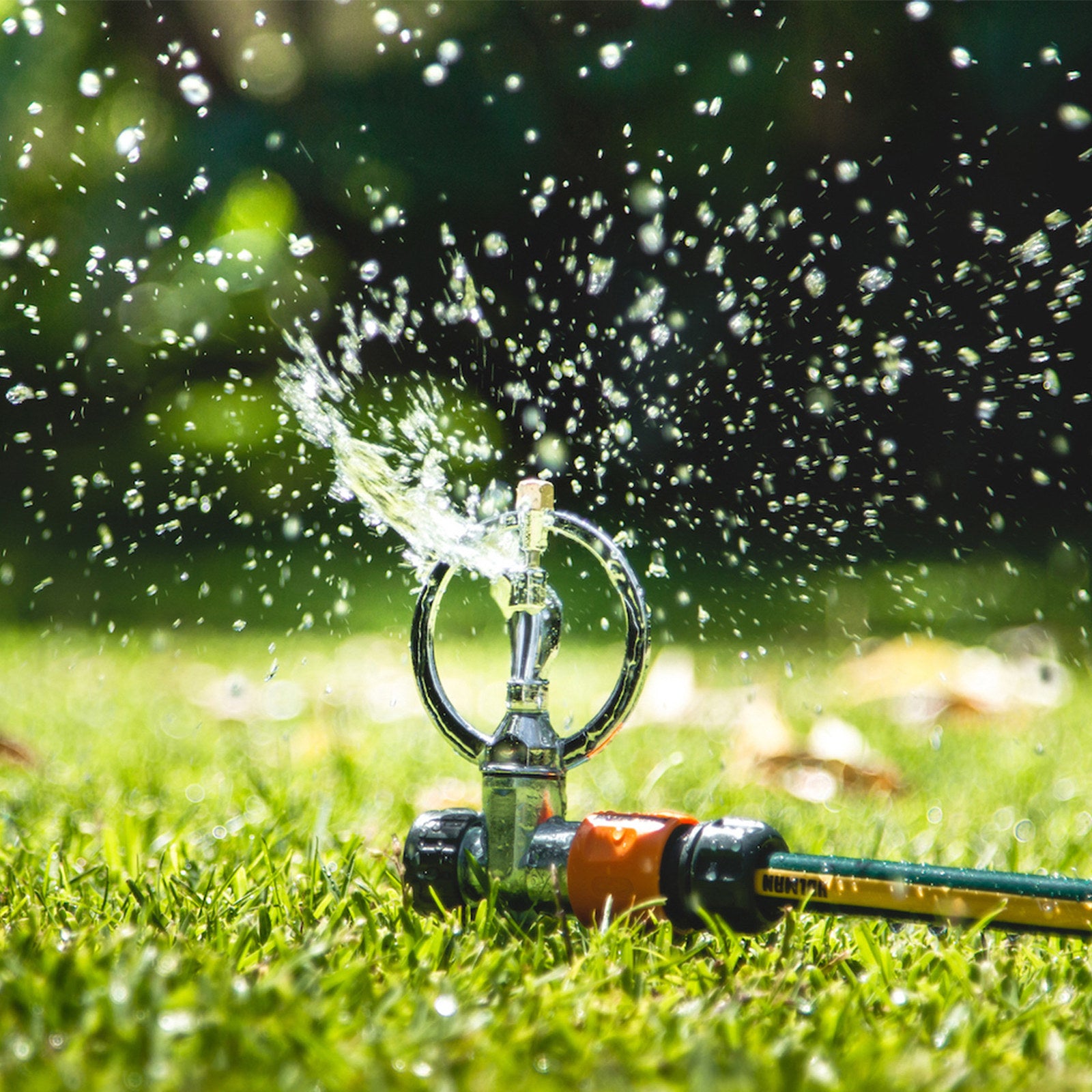 Holman Butterfly Spike Sprinkler 4m Coverage Metal