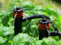 Holman Barbed Drip Irrigation PC Emitter on Spike 5 Pack - Black & Orange Plastic