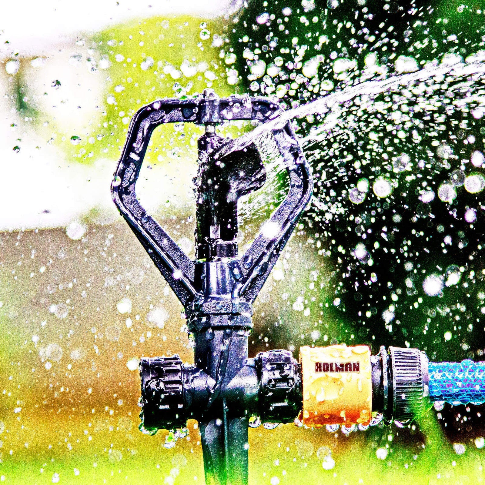 Holman Butterfly Head Sprinkler - Black Plastic Garden Irrigation Sprinkler