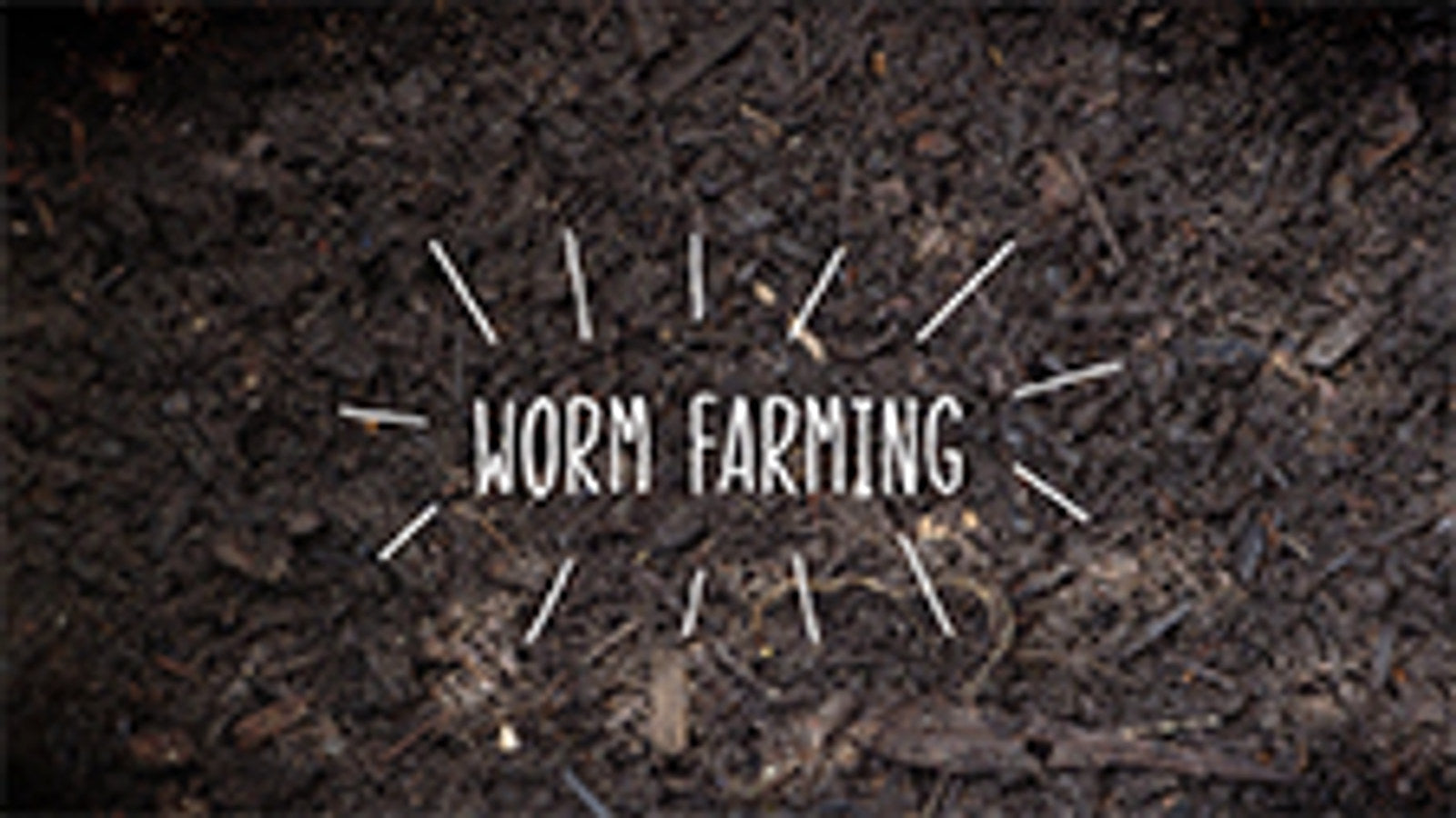 Tumbleweed Can-O-Worms Worm Farm Composting Kit