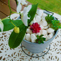 Jack 35-50mm Bright White Decorative Pebble, Garden Edging Stone