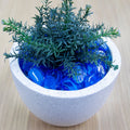 Tuscan Path 1kg 45-50mm Translucent Aztec Aqua Glass Decorative Pebbles