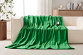 Kogan Washable Electric Heated Throw Blanket (Green, 200 x 180cm)
