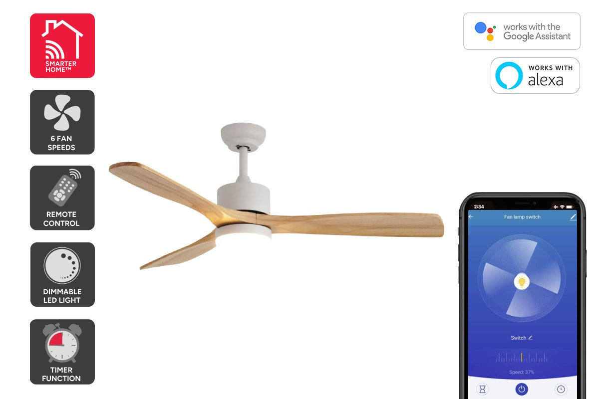 Ceiling Fans
