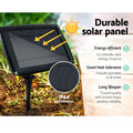 Premium Solar Festoon String Lights with 15 S14 Bulbs - 17m