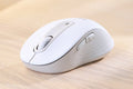 Logitech Signature M650 Large Wireless Mouse (Off White)