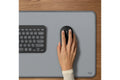 Logitech M350s Pebble 2 Wireless Mouse (Graphite)