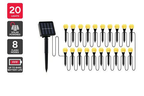 20 Piece Solar Garden Light Set