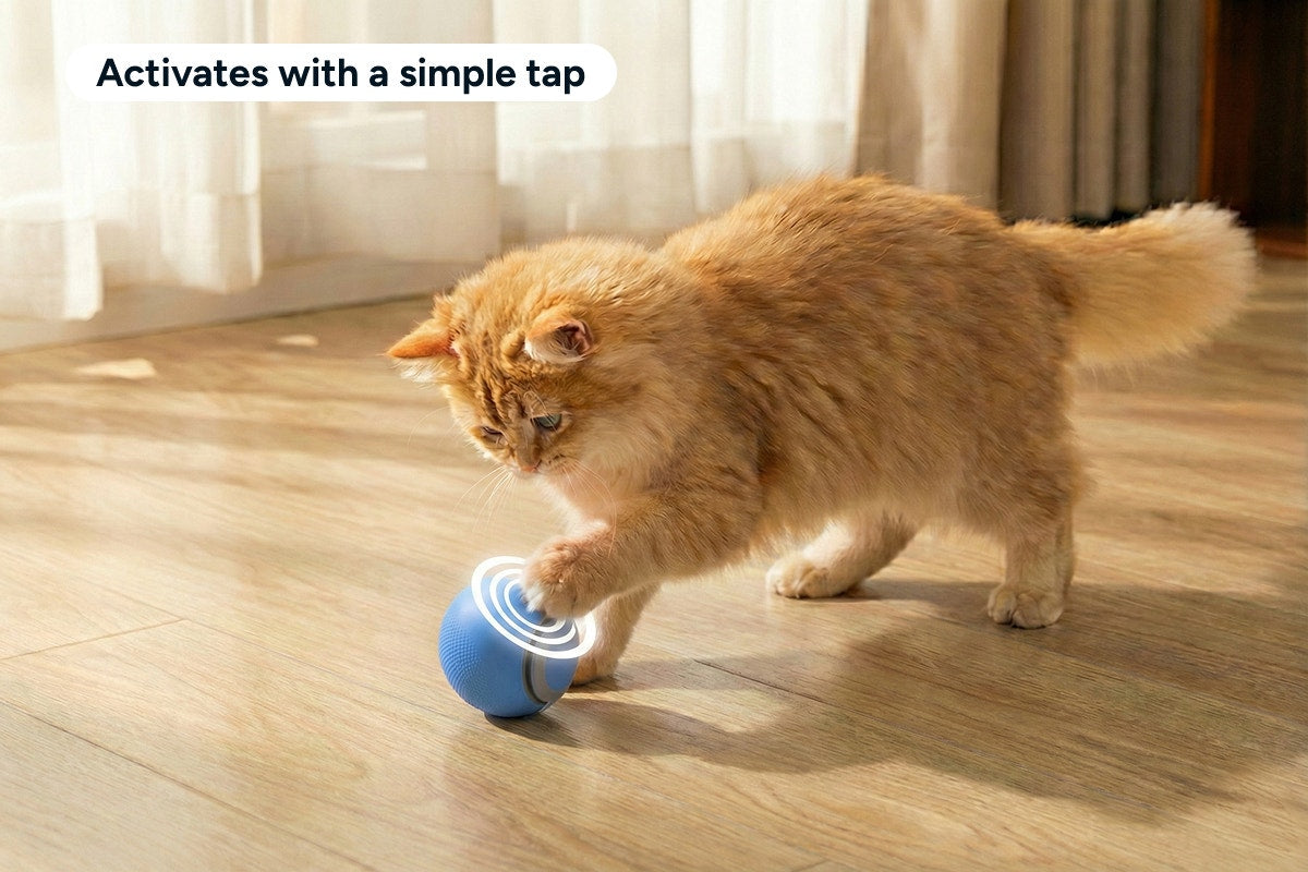 Automatic Toy Ball for Pets (2 Pack)