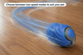 Automatic Toy Ball for Pets (2 Pack)
