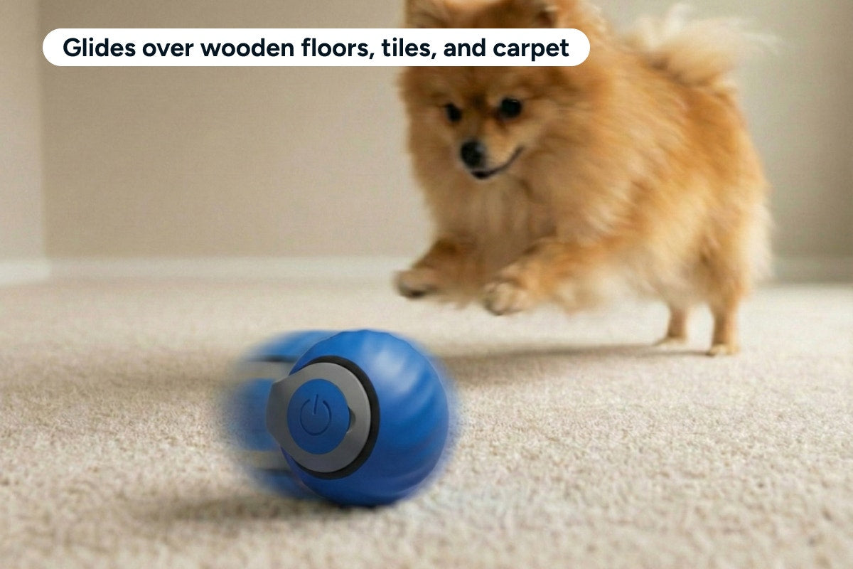 Automatic Toy Ball for Pets (2 Pack)