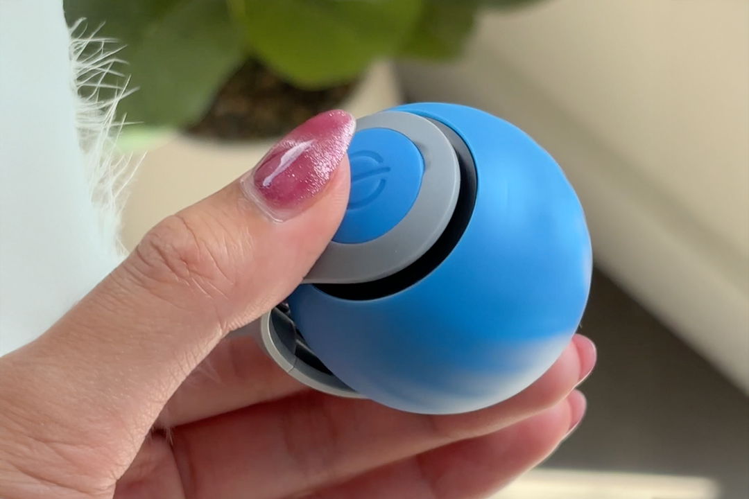 Automatic Toy Ball for Pets (2 Pack)