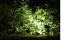 RGB Solar Garden Spot Lights (4 Pack)
