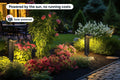 Outdoor Solar Landscape Pathway Lights (4 Pack)