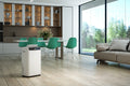 Olimpia Splendid Aquaria 24L Dehumidifier