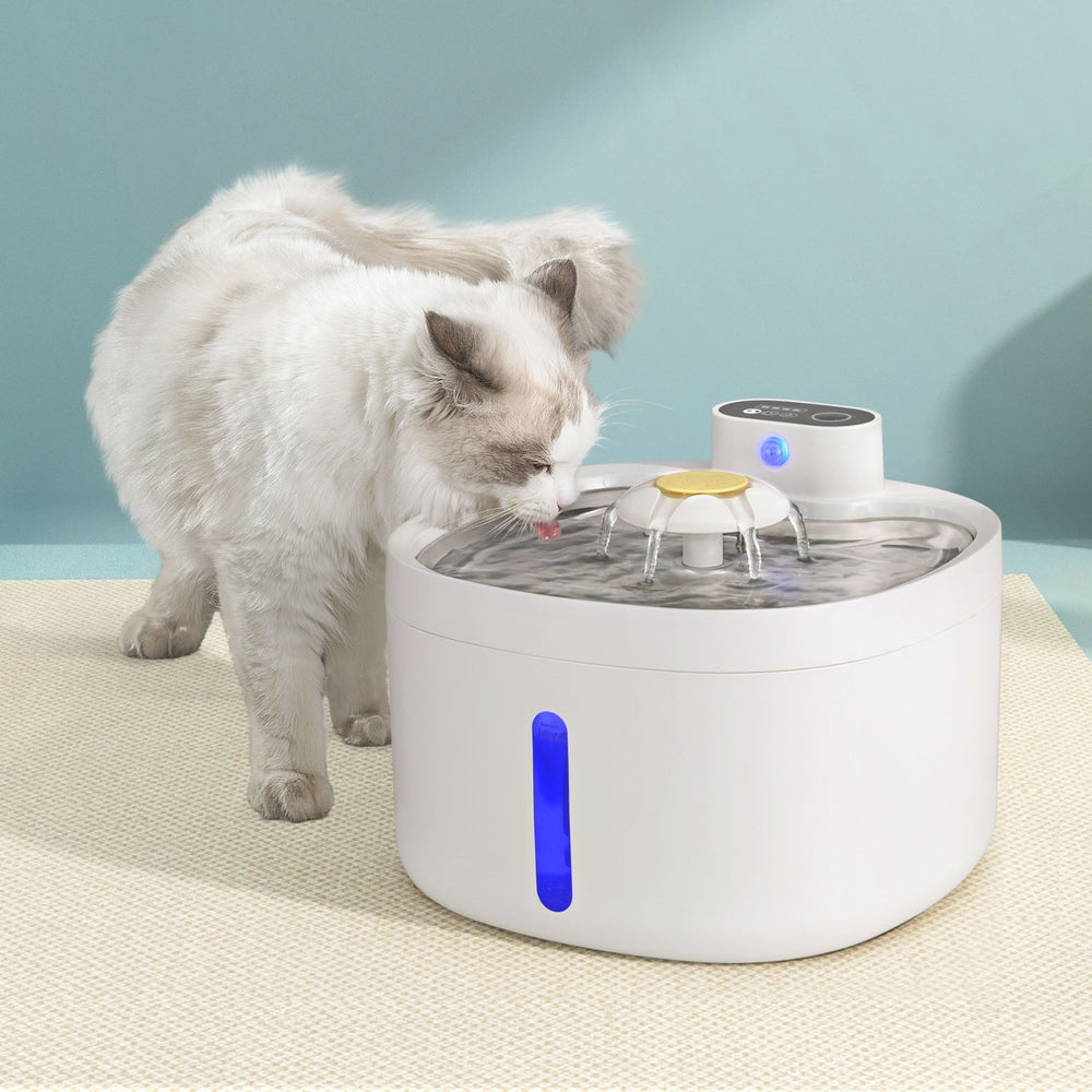 i.Pet Automatic Pet Feeder 2.6L with Motion Sensor, Filtration, and Quiet Pump