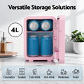 Premium Glacio Pink 4L Mini Skincare Fridge with LED Mirror