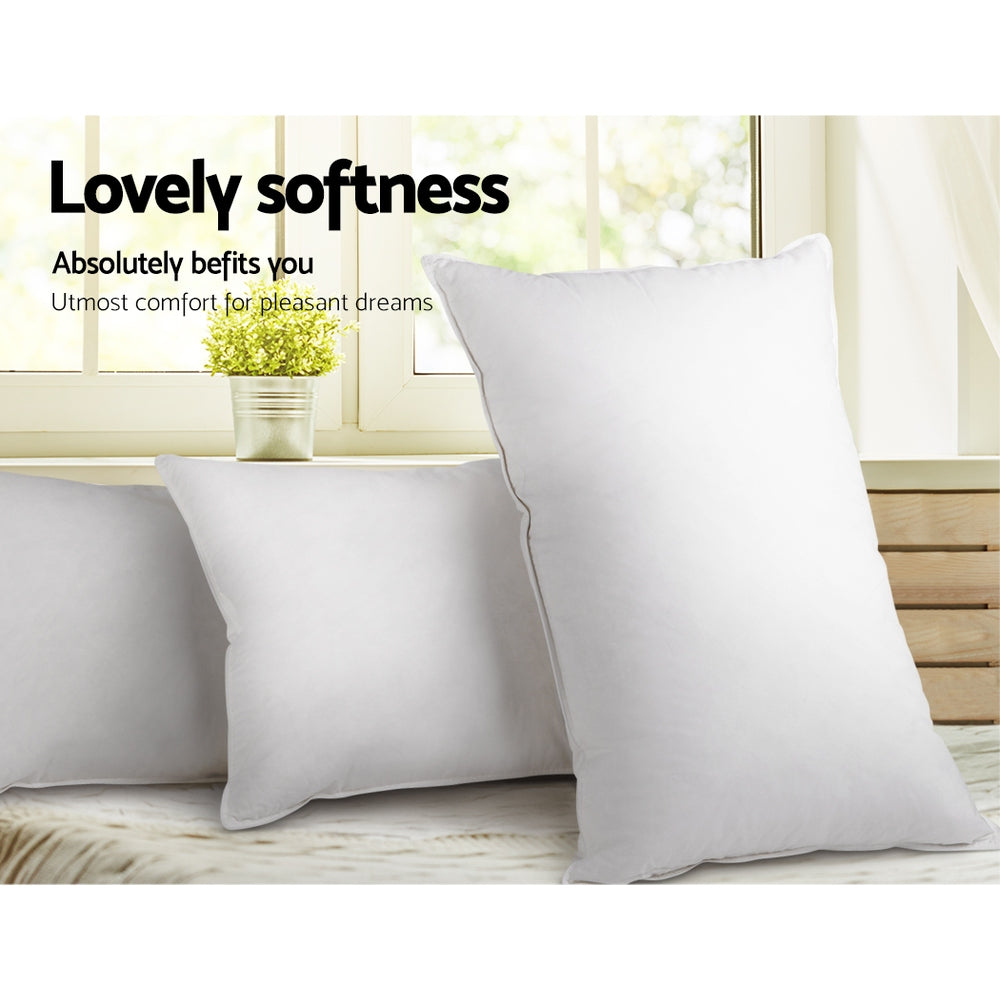 Giselle Bedding Duck Feather & Down Pillows Twin Pack 73x48cm Hypo-Allergy