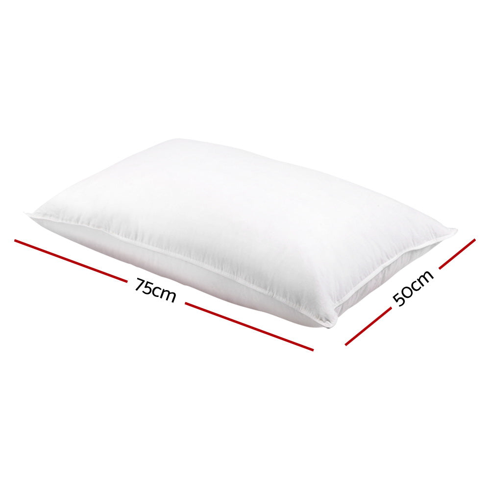 Giselle Bedding Goose Feather & Down Pillow Twin Pack 75cm x 50cm Hypo-Allergenic