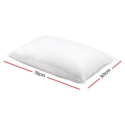 Giselle Bedding Goose Feather & Down Pillow Twin Pack 75cm x 50cm Hypo-Allergenic