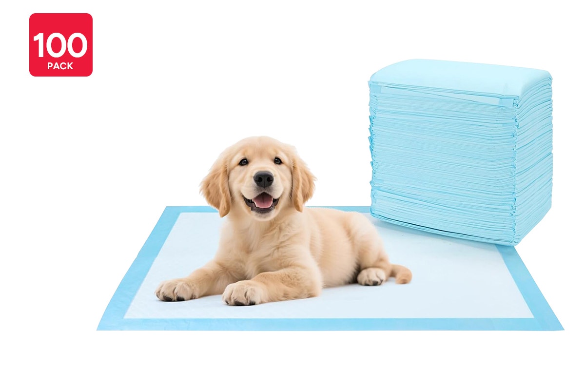 Pawever Pets Dog and Puppy Training Pads (100 Pack)
