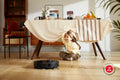 Roborock S8 MaxV Ultra Robot Vacuum (Official Australian Model)