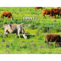 Giantz 5km Solar Electric Fence Energiser 0.15J with Monocrystalline Panel - SuperSaverAU - view 6