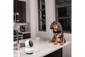 Swann EVO Pan & Tilt Wi-Fi Camera - SuperSaverAU - view 6