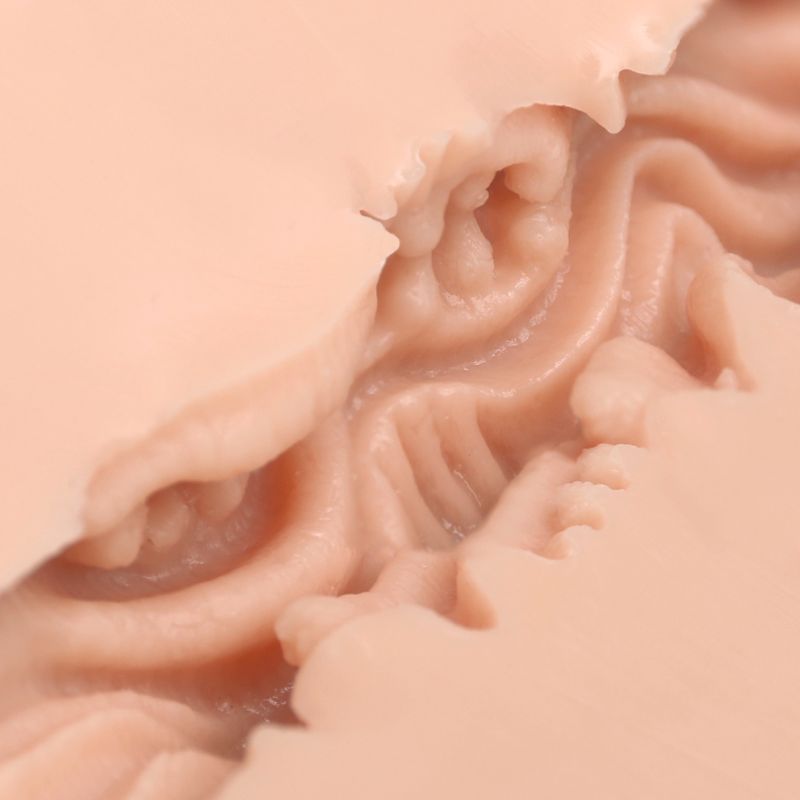 Naked Factory Dani Pussy Masturbator - Realistic Design