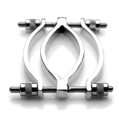 Noir Stainless Steel Pussy Clamp – Tease and Pleasure Device