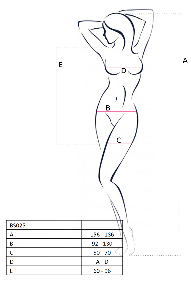 Passion Lingerie Black Mini Dress with Mesh Details