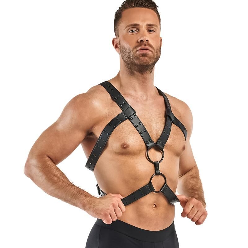 Bedroom Fantasies Rocco Bondage Harness - Black