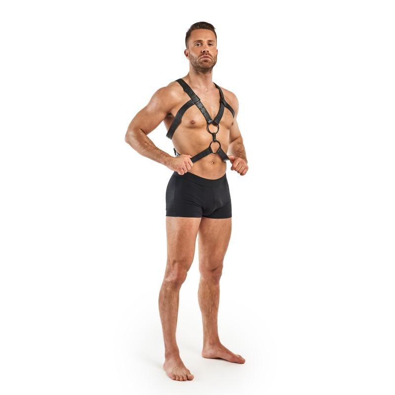 Bedroom Fantasies Rocco Bondage Harness - Black