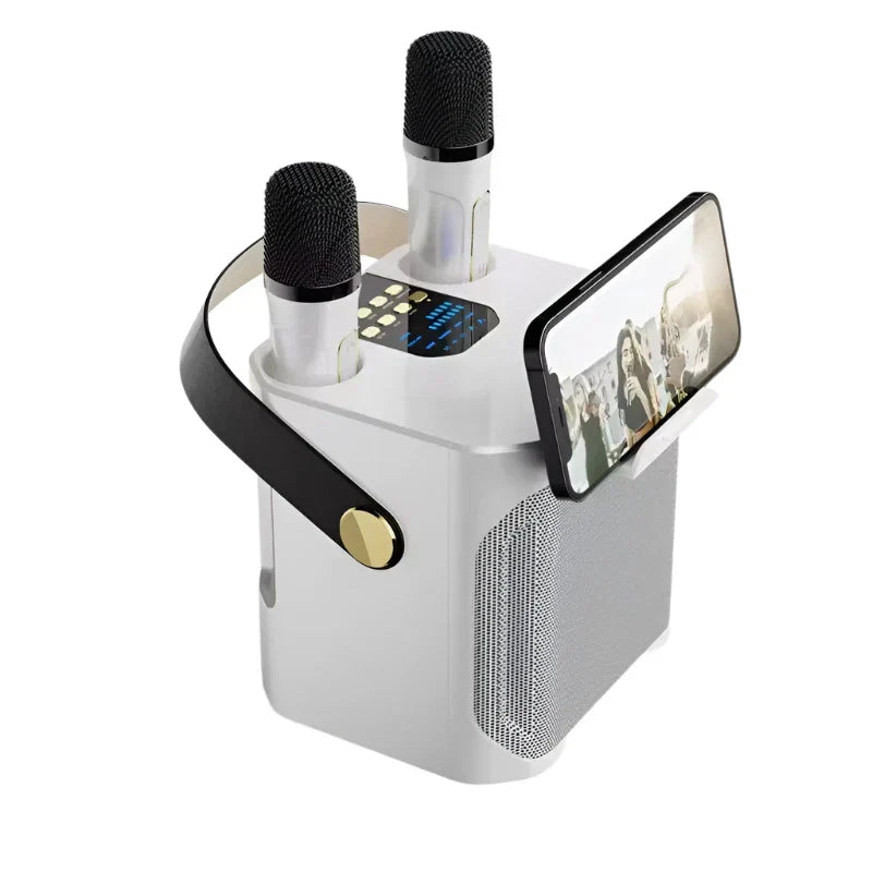 Premium High Power Bluetooth Karaoke Speaker with Dual Microphones