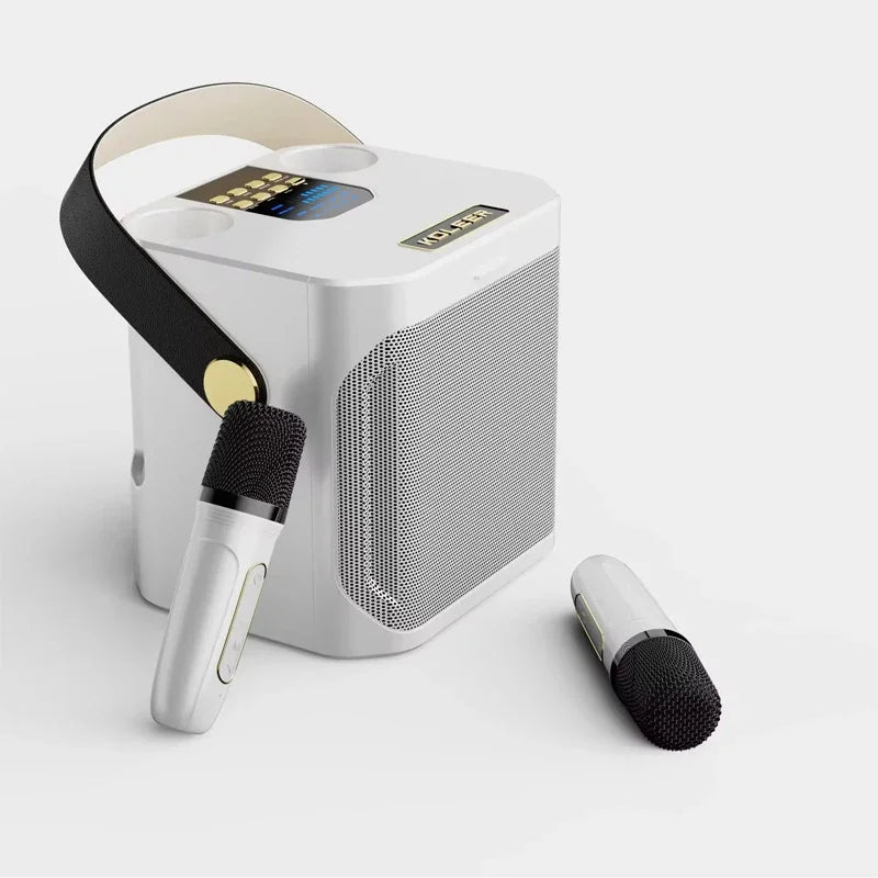 Premium High Power Bluetooth Karaoke Speaker with Dual Microphones