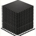 Premium Black Interlocking EVA Fitness Mats Set - 20pcs