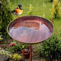 Premium Vintage Metal Bird Bath with Pedestal Stand - Copper