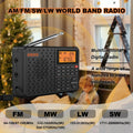 Premium Black Stereo Digital Portable Radio with Bluetooth
