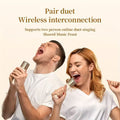 Premium K32 Mini Karaoke Machine with 2 Wireless Microphones