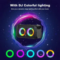 Premium Black Portable Karaoke Speaker with 2 Wireless Microphones
