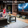 Premium Black Portable Karaoke Speaker with 2 Wireless Microphones