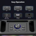 Premium Black Portable Karaoke Speaker with 2 Wireless Microphones