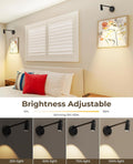Premium Zoomable Battery Operated Picture Light Set – 2 Pack, 6000mAh Remote Control