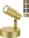 Premium Rechargeable Picture Spotlight – Gold, 6000mAh Battery with Remote & CCT Dimming