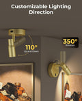 Premium Rechargeable Zoomable Spotlight – Gold, 6000mAh Battery with Remote Control