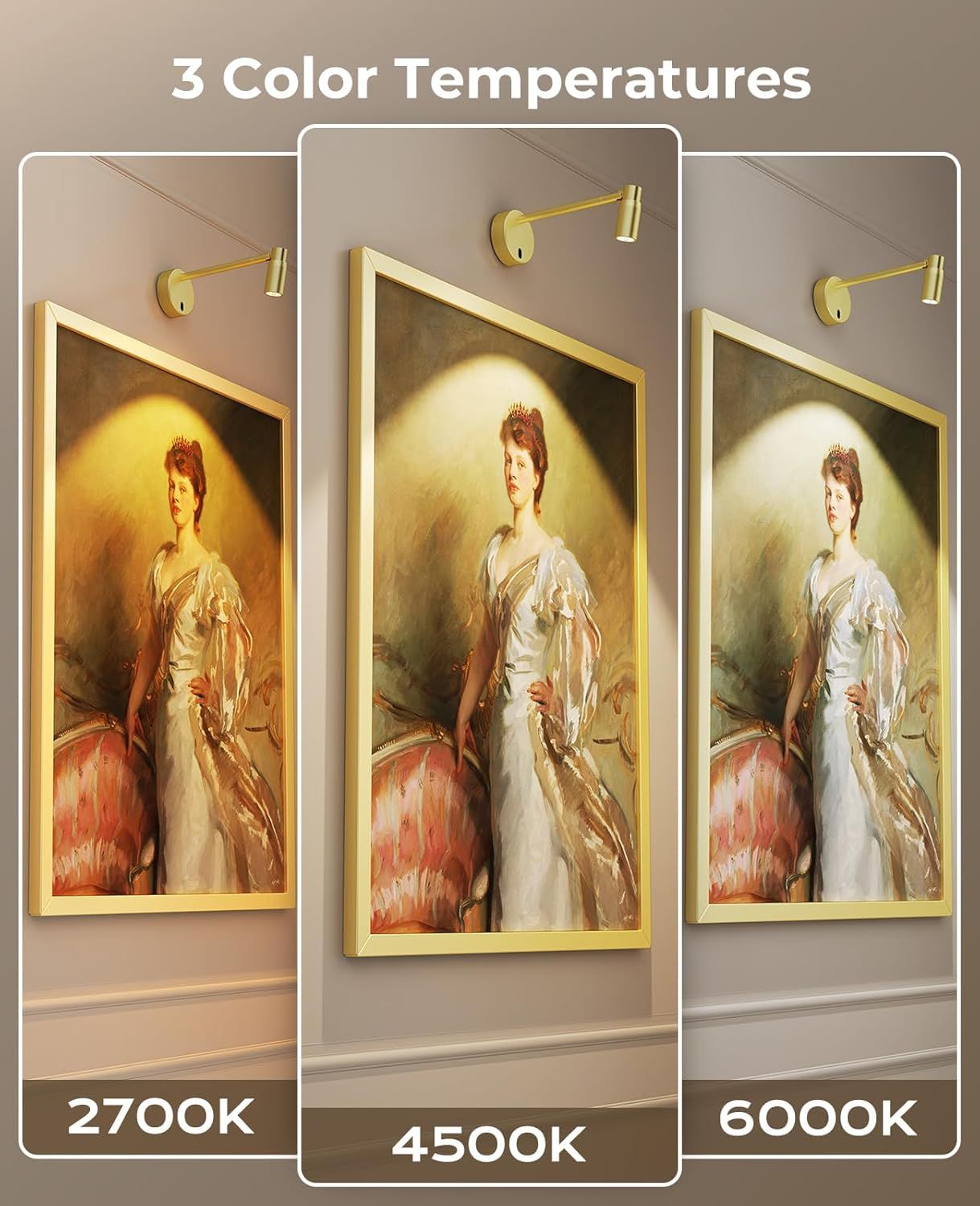 Premium Zoomable Battery Operated Picture Light – Gold, 6000mAh Remote Control