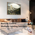 Premium 13.5 Inch Picture Light – Silver Plug In or Hardwired LED with Remote