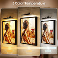 V1171 24in Battery-Powered Wall Picture Light, CCT Dimmable with Remote Control - SuperSaverAU - view 2