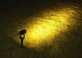 3 x Solar LED Spotlights, 120-130 Lumen, Waterproof, Warm White, 18 cm - SuperSaverAU - view 1